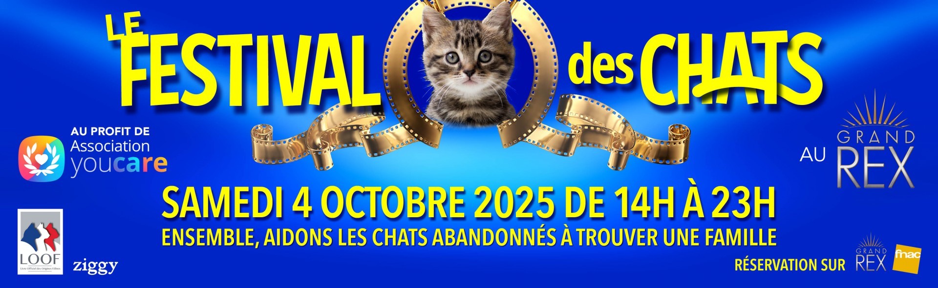 Le festival des chats