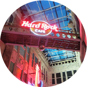 REX STUDIOS et HARD ROCK CAFE